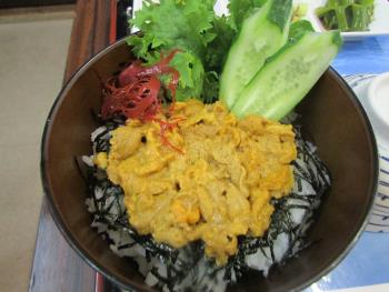 ウニ丼 ウニ丼