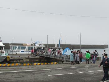 イルカウォッチング イルカウォッチング