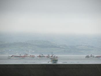 イルカウォッチング イルカウォッチング