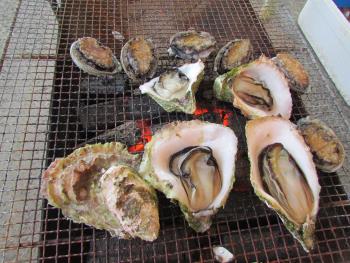 天領牡蠣 天領牡蠣