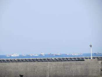 イルカウォッチング イルカウォッチング