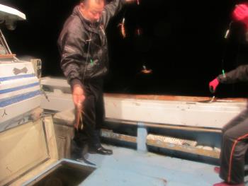 イカ釣り イカ釣り