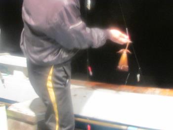 イカ釣り イカ釣り