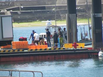 トサカかけ トサカかけ