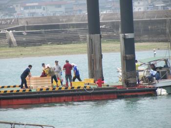 トサカ漁 トサカ漁