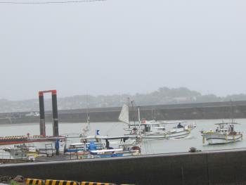 トサカ漁 トサカ漁