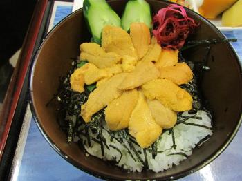 うに丼 うに丼
