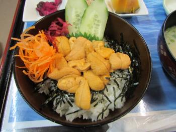 宝多ウニ丼 宝多ウニ丼