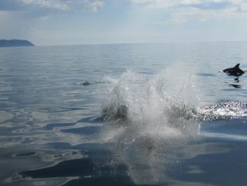 ジャンプ ジャンプ