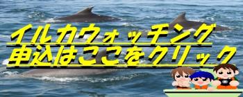 申し込み 申し込み