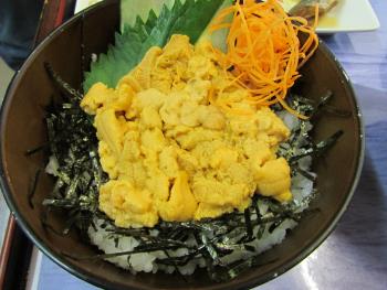宝多うに丼 宝多うに丼