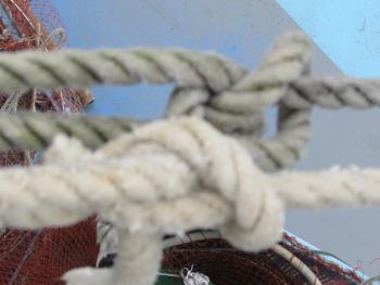 台風対策 台風対策