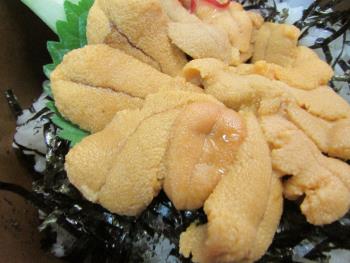 宝多うに丼 宝多うに丼