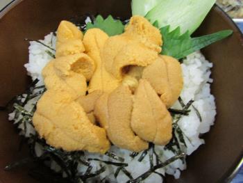 うに丼 うに丼