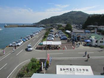 イルカウォッチング イルカウォッチング