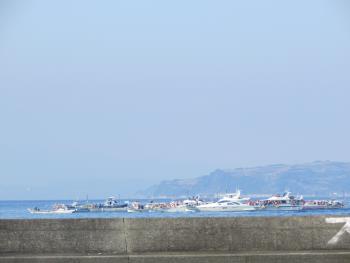 イルカウォッチング イルカウォッチング