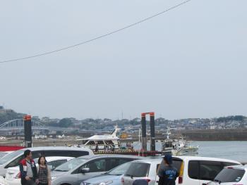 イルカウォッチング イルカウォッチング