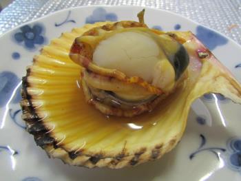 ヒオウギ貝 ヒオウギ貝