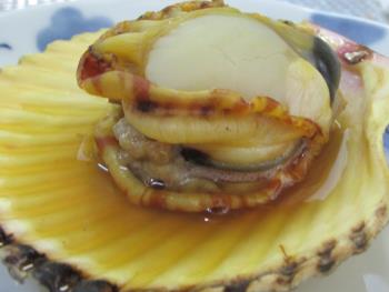 ヒオウギ貝 ヒオウギ貝