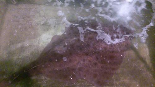 ぎりぎり ぎりぎり