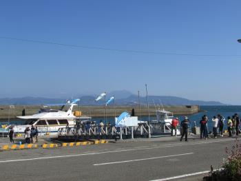 イルカウォッチング イルカウォッチング