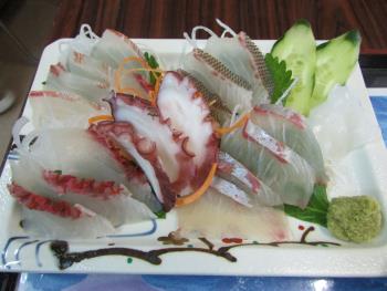 刺身定食 刺身定食