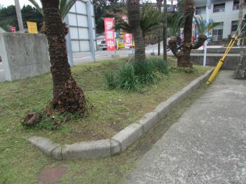 ボランティア ボランティア