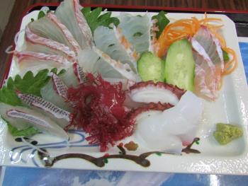 刺身定食 刺身定食