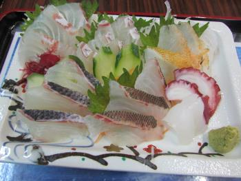 刺身定食 刺身定食