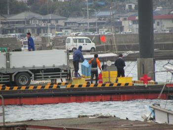 トサカ漁 トサカ漁