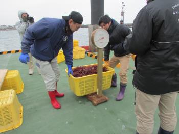 トサカ漁 トサカ漁