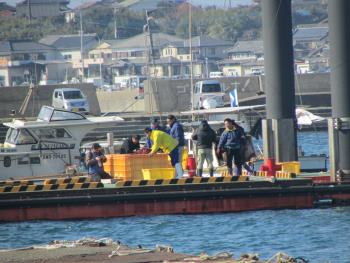 トサカ漁 トサカ漁