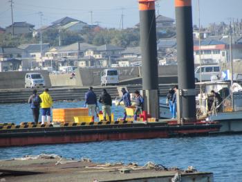 トサカ漁 トサカ漁