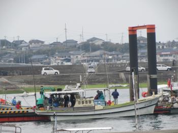 トサカ漁 トサカ漁