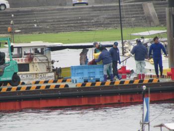 トサカ漁 トサカ漁