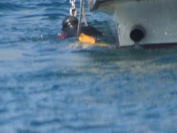 ナマコ獲り ナマコ獲り