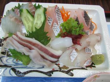 刺身定食 刺身定食