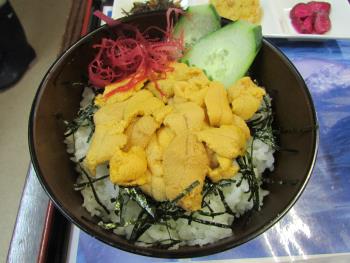 うに丼 うに丼