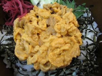 うに丼 うに丼