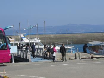 イルカウォッチング イルカウォッチング