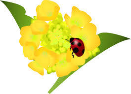 イラスト イラスト