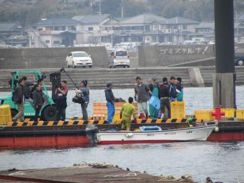 ワカメ水揚げ ワカメ水揚げ