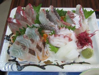 刺身定食 刺身定食