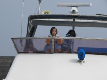 イルカウォッチング イルカウォッチング