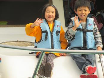 イルカウォッチング イルカウォッチング