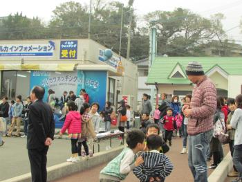 イルカ開き イルカ開き