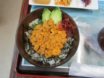 うに丼 うに丼