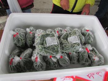 はやさき市 はやさき市