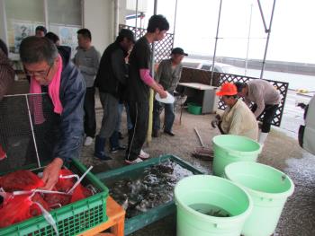 はやさき市 はやさき市