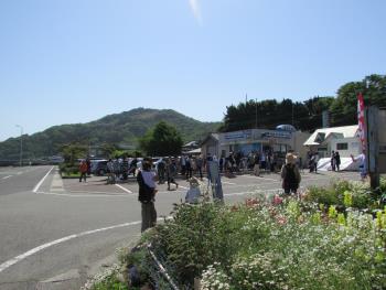 イルカウォッチング イルカウォッチング